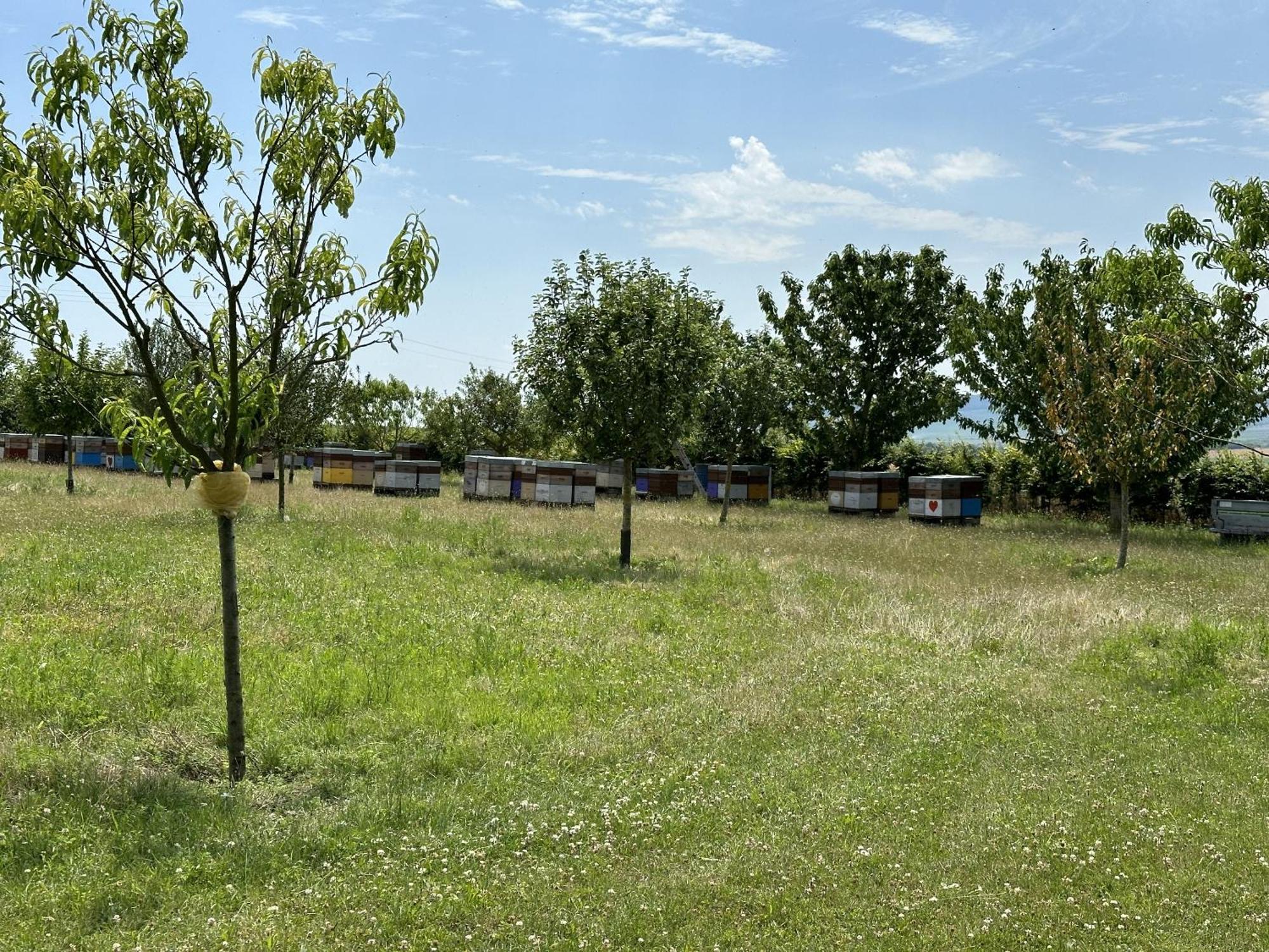 Happy Cernay-les-Reims Exterior foto