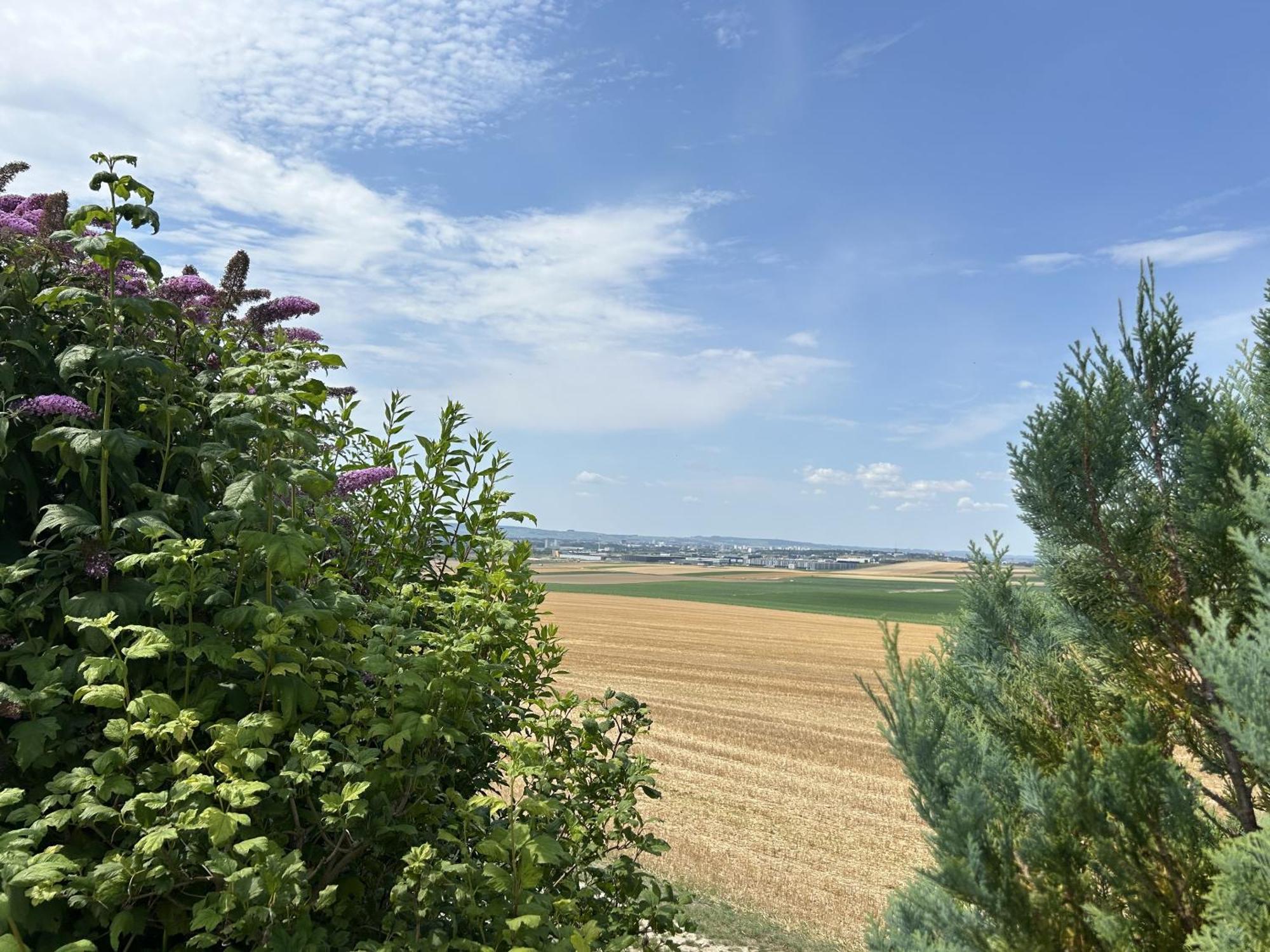 Happy Cernay-les-Reims Exterior foto